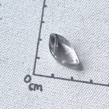 (特殊) 黑銀鈦狐狸尾巴